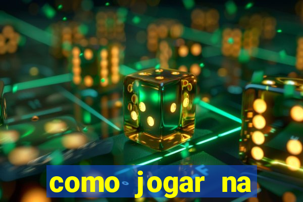 como jogar na seninha online